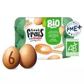 Oeufs de poules élevées en plein air bio (x6)