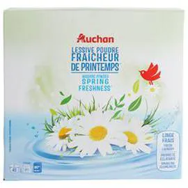 Lessive en poudre fraicheur 40 lavages (2kg)
