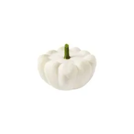 Courge Patisson Bio (l'unité)
