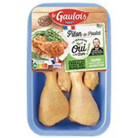 Pilons de poulet jaune (360g)
