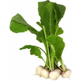 Navets botte fanes (350g)