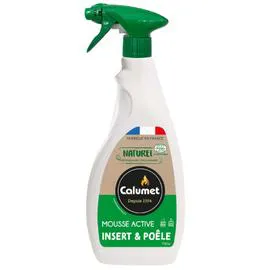 Nettoyant Insert Et Poêle Mousse Active (750ml)
