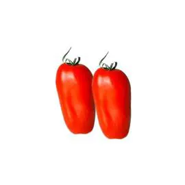 Tomate allongée Torino vrac (250g)