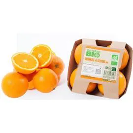 Oranges à dessert Navel Bio (x4)