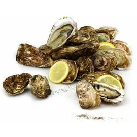 Huîtres creuses de Cancale N°2 (x24)