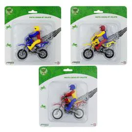 Moto cross et pilote (l'unité)