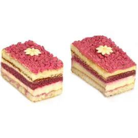  Framboisier x2