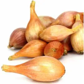 Echalotes longues traditionnelles (350g)