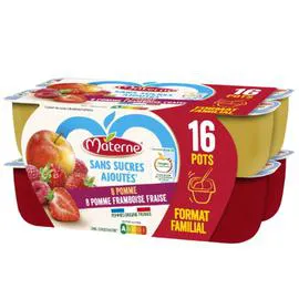 Compotes pomme framboise fraise (16x100g)