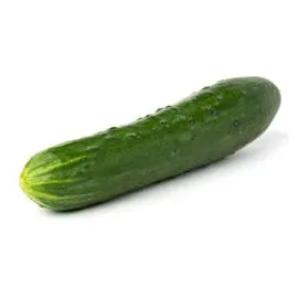 Concombre Noa Bio (l'unité)