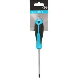 Tournevis 5 x 100 mm (l'unité)