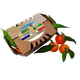 Clémentines de Corse Bio (500g)