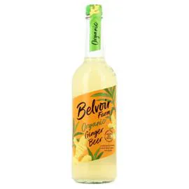 Ginger Beer Bio (750ml)
