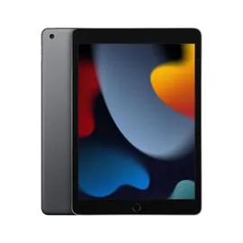 IPad 2021 10,2" - 64 Go - WiFi - Gris Sidéral (MK2K3NF/A) (l'unité)