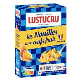 Pâtes nouilles à l'ancienne (250g)