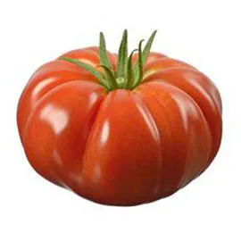 Tomate ancienne côtelée rouge (l'unité)