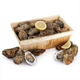 Huîtres Arcachon N°2 (x24)