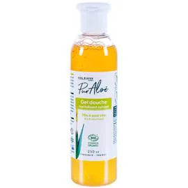 Gel Douche Revitalisant Cutané Aloe Vera Bio (250ml)