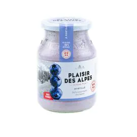 Yaourt myrtille sauvage (500g)