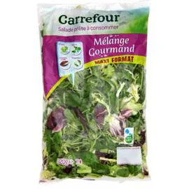 CARREFOUR Salade mélange Gourmand 320g