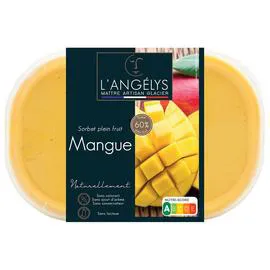 Sorbet Plein Fruit Mangue (500g)