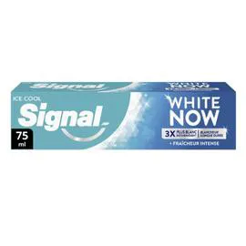 Dentifrice White Now Ice Cool (75ml)
