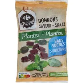 Bonbons saveur plantes sans sucres (150g)