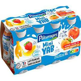 Mini Yab pêche pêche-abricot banane-fraise (8x100g)