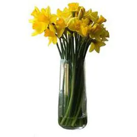 Bouquet de 20 jonquilles (l'unité)
