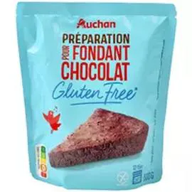 Préparation pour fondant au chocolat sans gluten (500g)