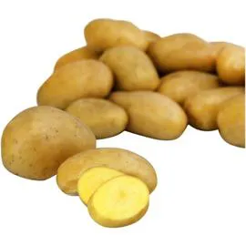 Pomme de terre primeur Délicatesse (1kg)