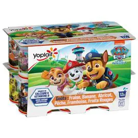 Yaourt aux fruits fraise banane framboise pêche fruits rouges abricot Pat Patrouille (12x50g)
