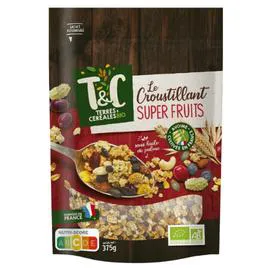 Céréales muesli canneberge, myrtille et mûre sans huile de palme Bio (375g)