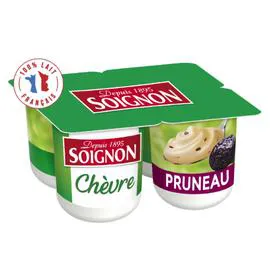 Yaourt de chèvre pruneau (4x125g)
