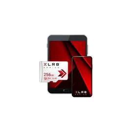 Carte mémoire Micro SD - P-SDU256V32100XR-GE - Blanc (l'unité)