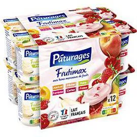 Frutimax - Yaourt aux bons morceaux de fruits (12x125g)