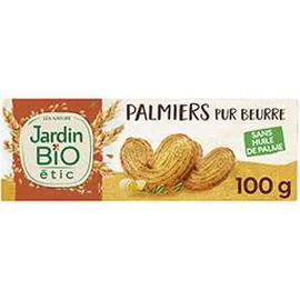 Petits palmiers croustillants pur beurre Bio (100g)