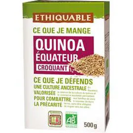 Quinoa Equateur Bio (500g)