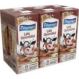 Boisson lactée chocolatée (6x20cl)