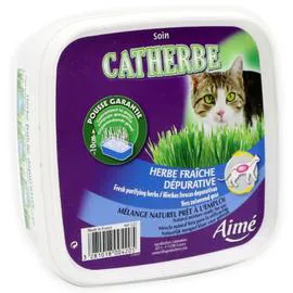 Herbe à chat dépurative (l'unité)