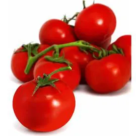 CARREFOUR Tomates rondes en grappe Bio 600g