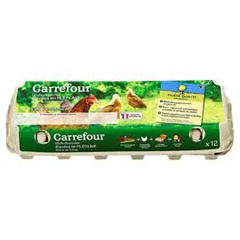 Oeufs de Plein Air sans OGM-Antibiotique sans OGM (x12)