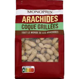 Arachides coque grillées (500g)