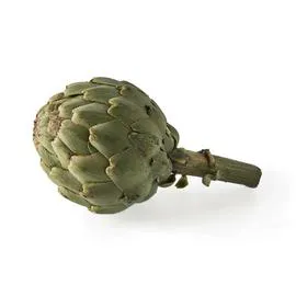 Artichaut Globe (x1)