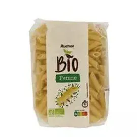 Pâtes Penne (500g)