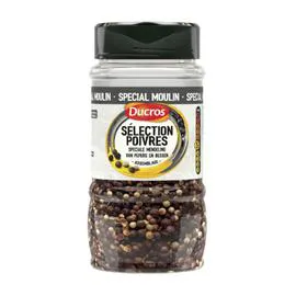 Epices spécial moulin (200g)