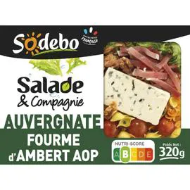 Salade auvergnate pâtes speck bleu noix (320g)