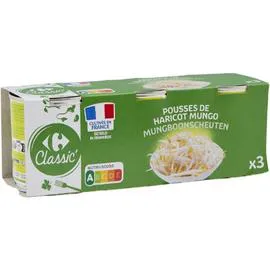 Pousses de haricot mungo (3x90g)