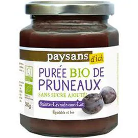 Purée pruneaux Bio (300g)