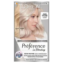Coloration Cheveux Permanent Blond Cendré 01 PREFERENCE (l'unité)
